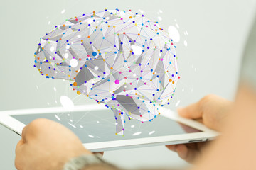 关于有趣的动物二年级的写话