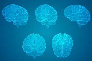 药学专业知识一考点：片剂的辅料