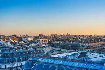 关于有趣的动物二年级的写话