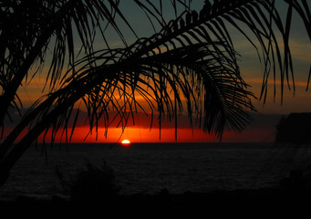 史前星球怎么灭绝