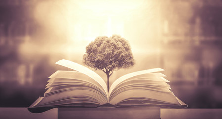 中国最好吃的雪糕十大排名