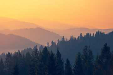 史前星球怎么灭绝