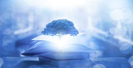 药学专业知识一考点：片剂的辅料