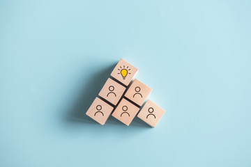 萤火虫给了科学家怎样的启示