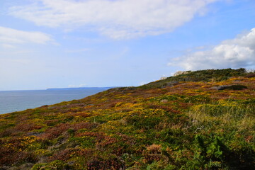 世界地球日主题活动幼儿园教案