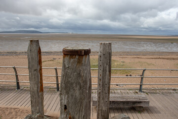 我国紧缺的12类人才