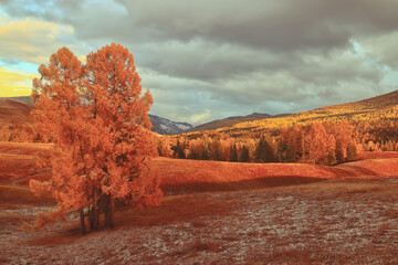 世界上第一宝物是什么,世界十大宝藏排名？