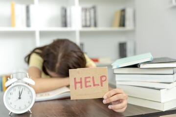 萤火虫给了科学家怎样的启示