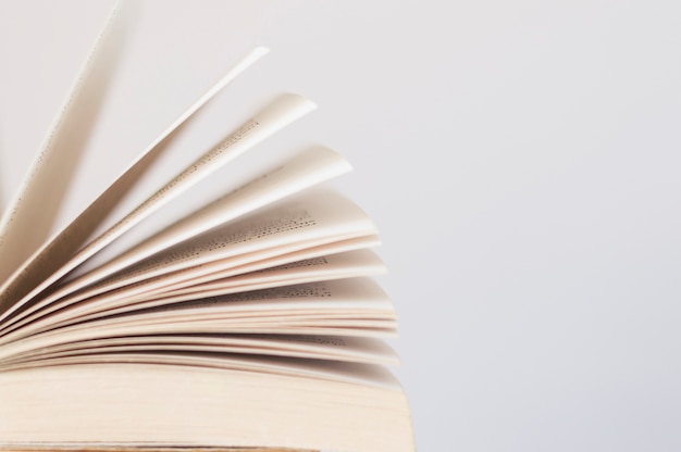 beach和bitch发音区别是什么？