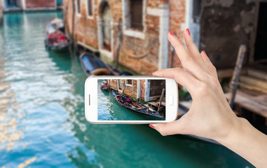 萤火虫给了科学家怎样的启示