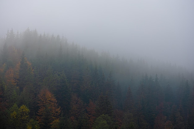 世界地球日主题活动幼儿园教案