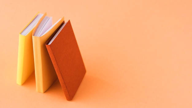 beach和bitch发音区别是什么？