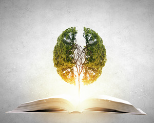 艺术节手抄报简介艺术节手抄报内容写什么