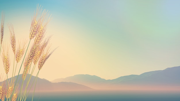 小学数学校本培训总结心得