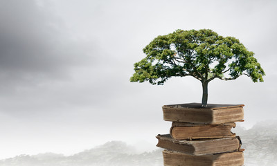 世界地球日主题活动幼儿园教案