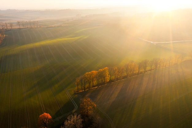 怎样学好历史初一诀窍