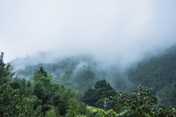 史前星球怎么灭绝